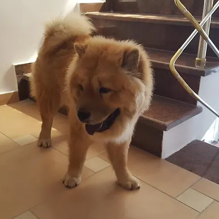 게스트하우스 Nuovo Sun