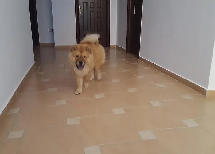 Pensionat Nuovo Sun 3*